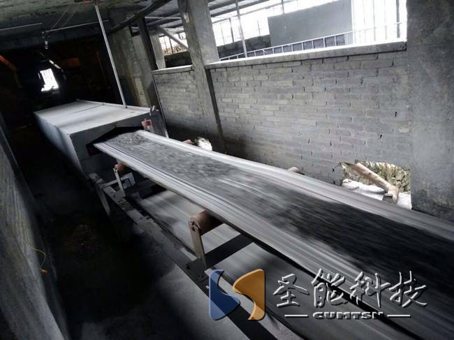 圣能科技<a href='http://www.bhwkg.cn' target='_blank'><u>電子皮帶秤</u></a>項(xiàng)目